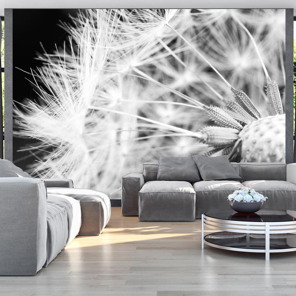 Sort Fototapet med Dandelion - Premium Kvalitet