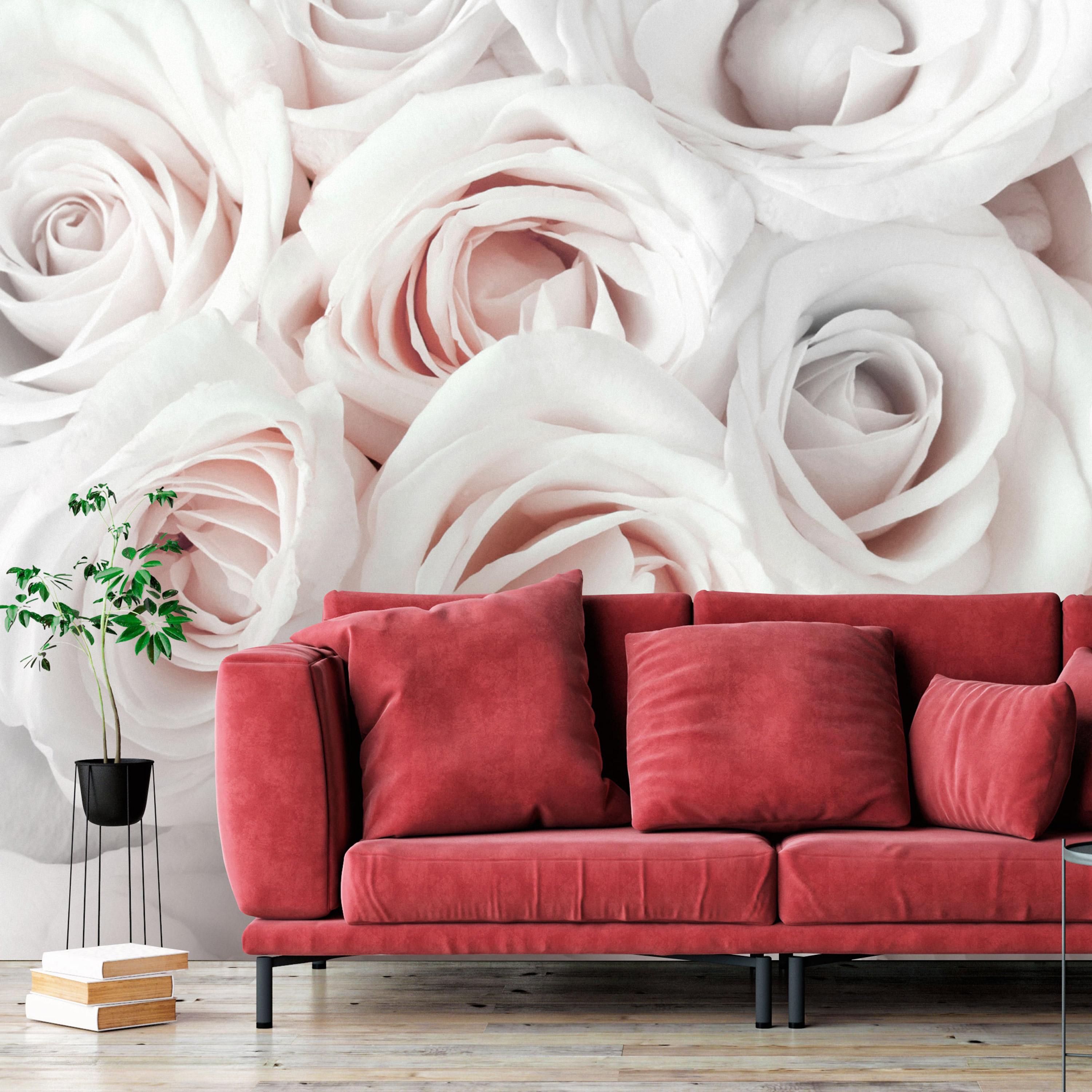 Lyserød Fototapet Satin Rose 350x245 - Boligcenter Justpictures
