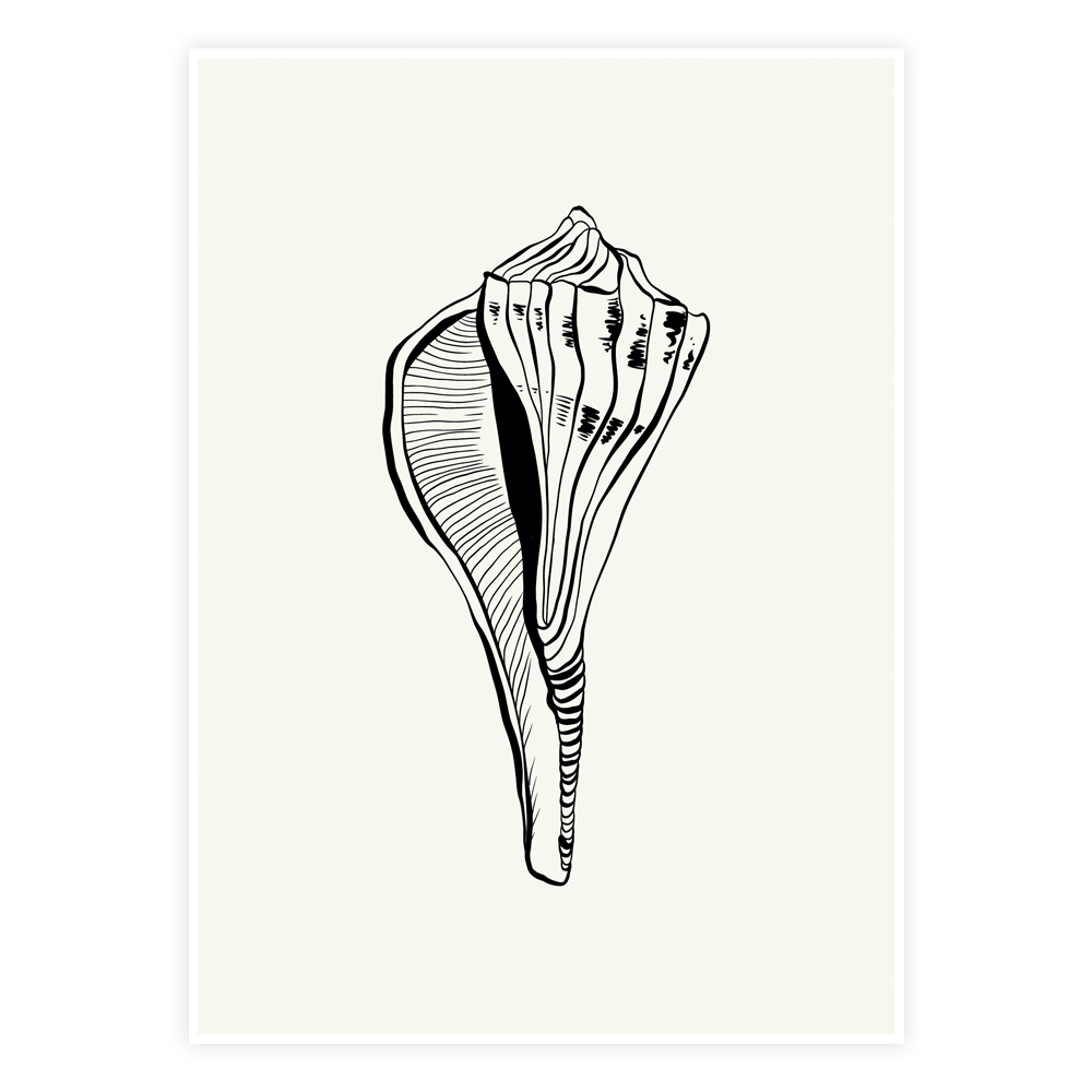 Havets Skat Plakat - Elegant Muslingeskal Illustration