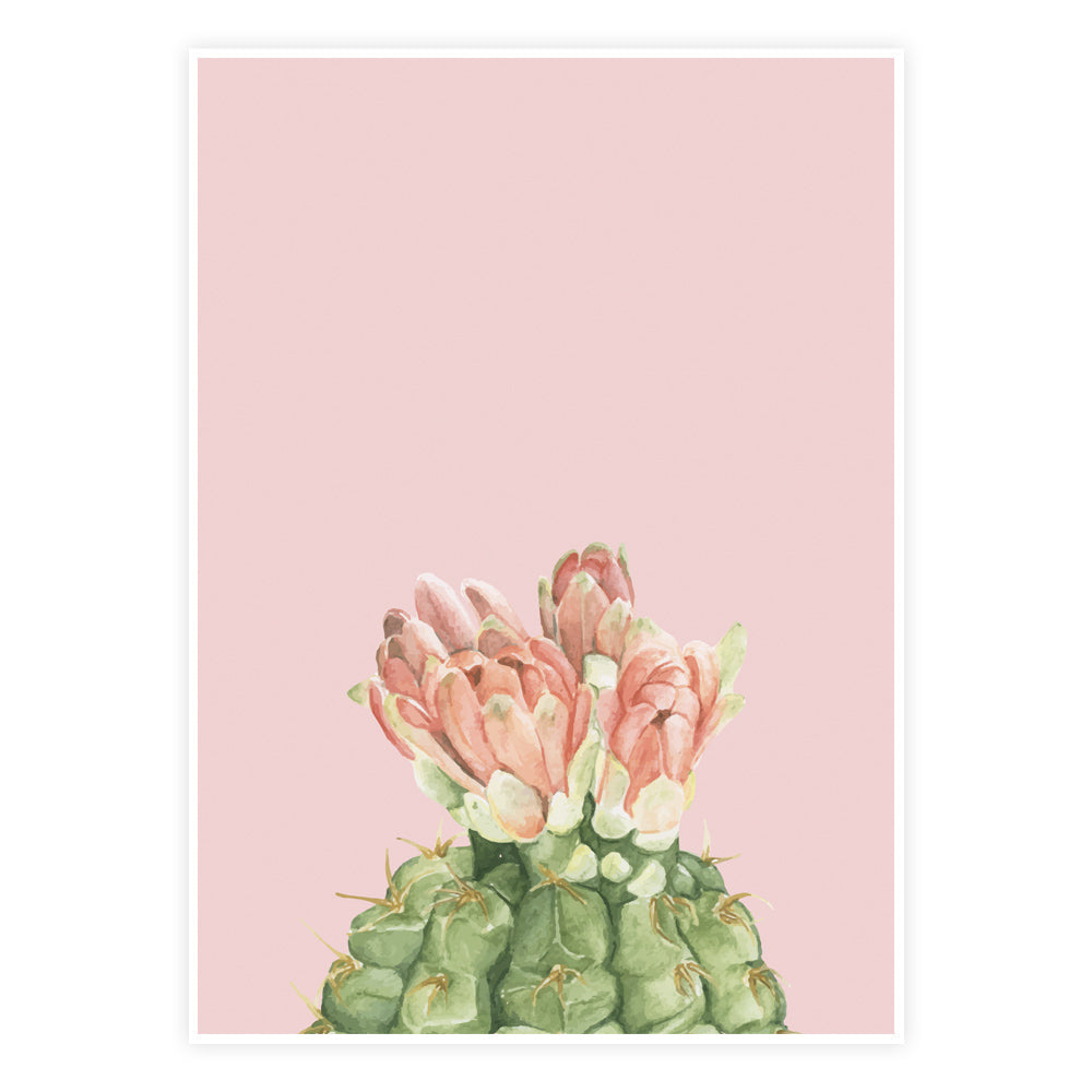 Pink Prickle Plakat – Moderne Elegance til Dit Hjem