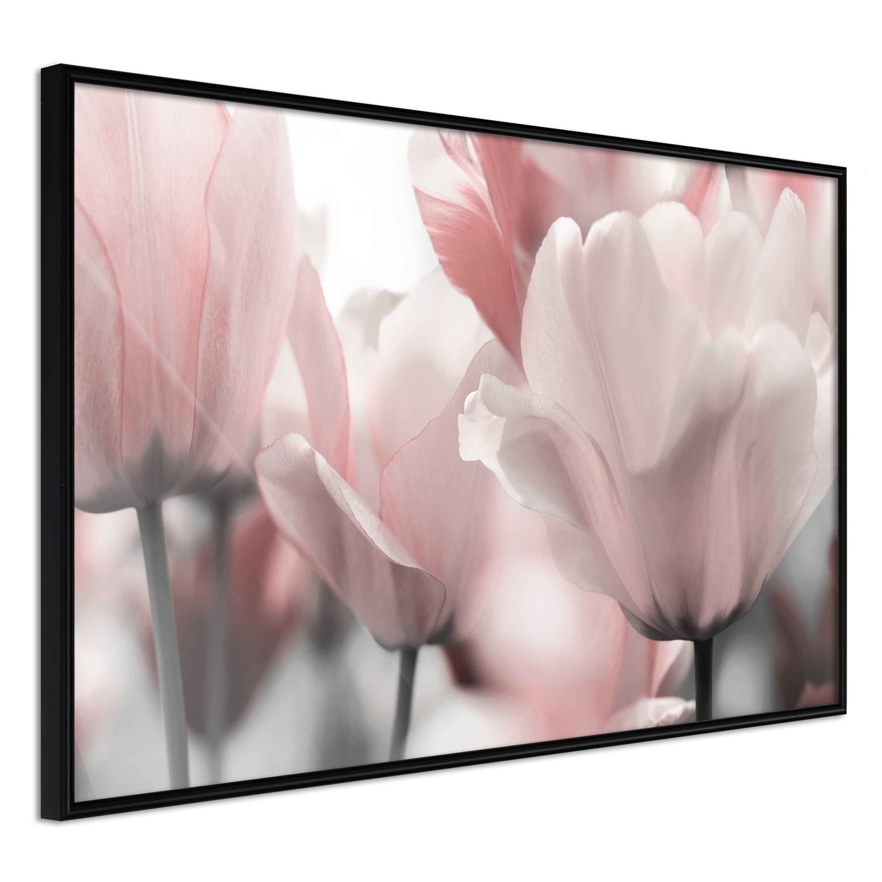 Sort Plakat med Ramme - Pastel Tulipaner til Indretning