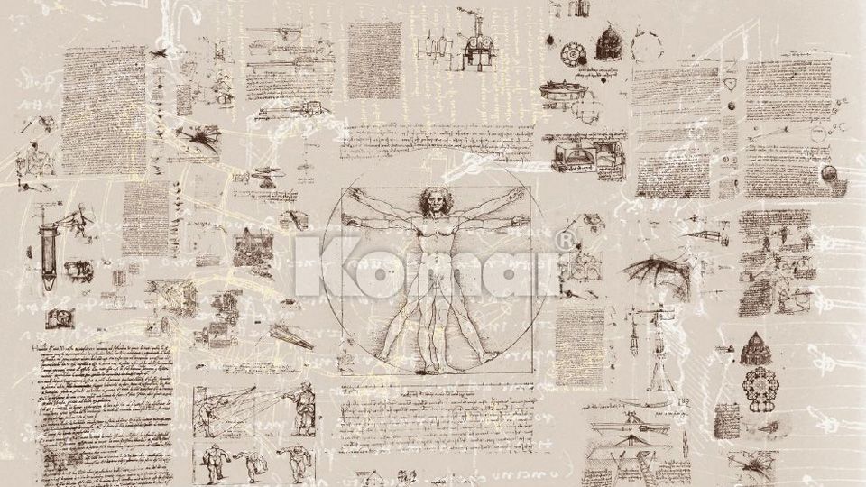 Davinci - Komar Fleece Fototapet af Høj Kvalitet