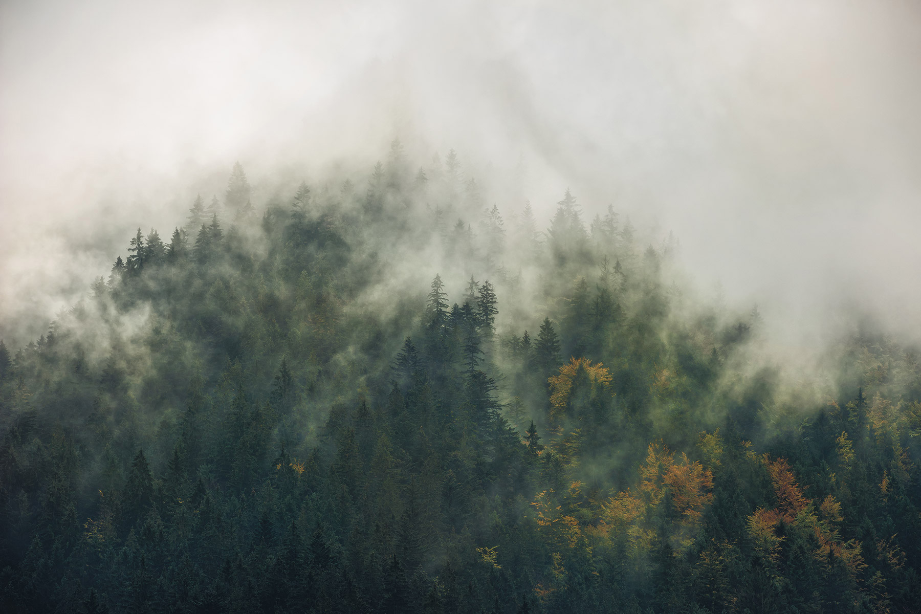 Tales fra Karpaterne - Magisk Natur Fototapet