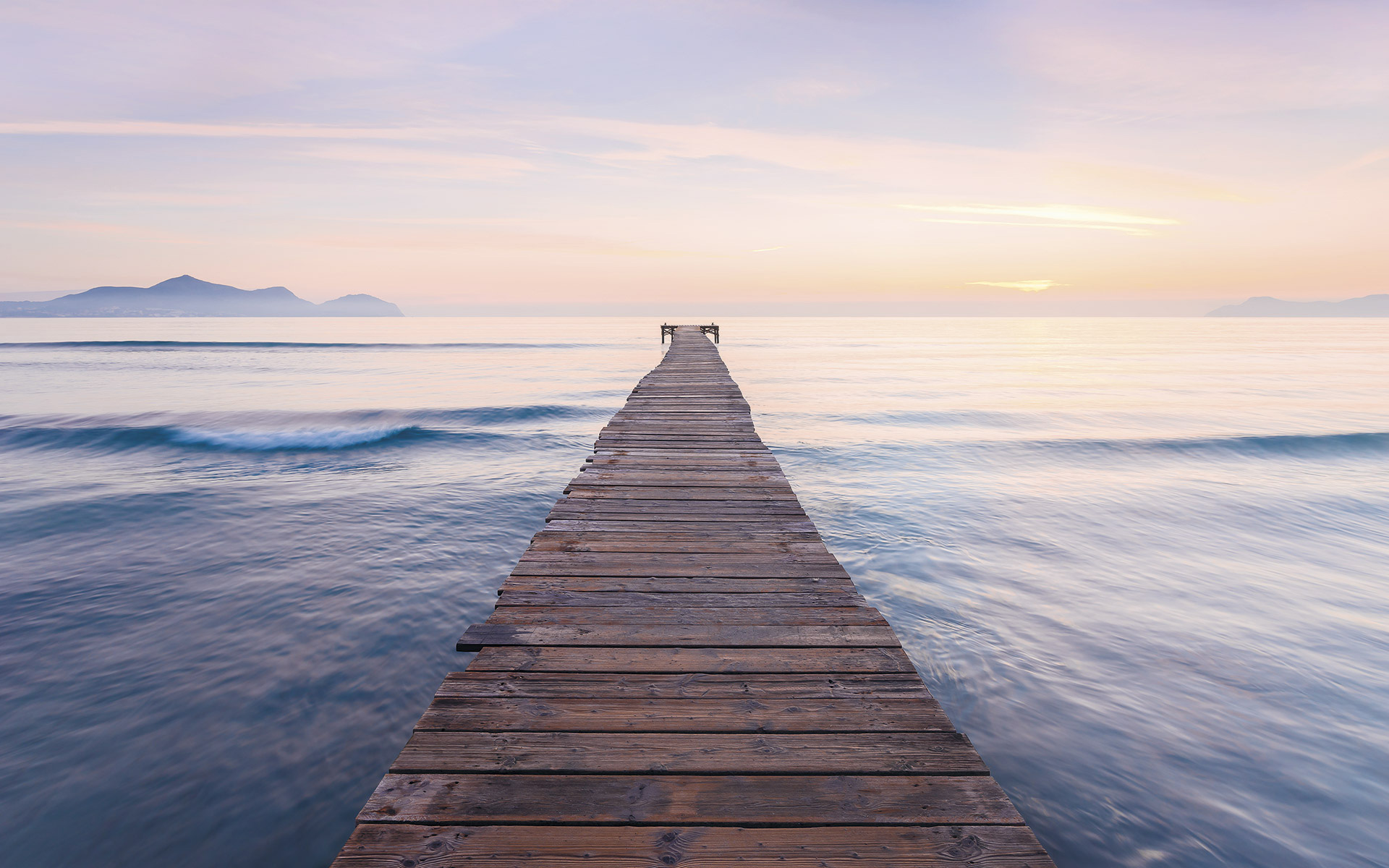 Fred – Komar Justpictures med smukke nuancer i lilla, blå og orange.